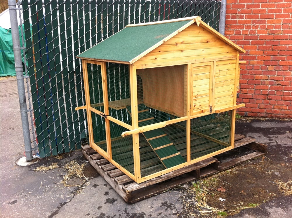Urban chicken coop for two. Yelp