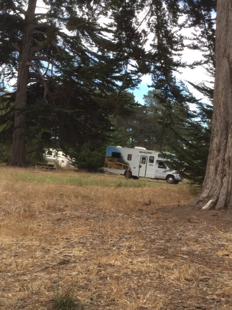 New Brighton State Beach 133 Photos Parks Capitola, CA Reviews