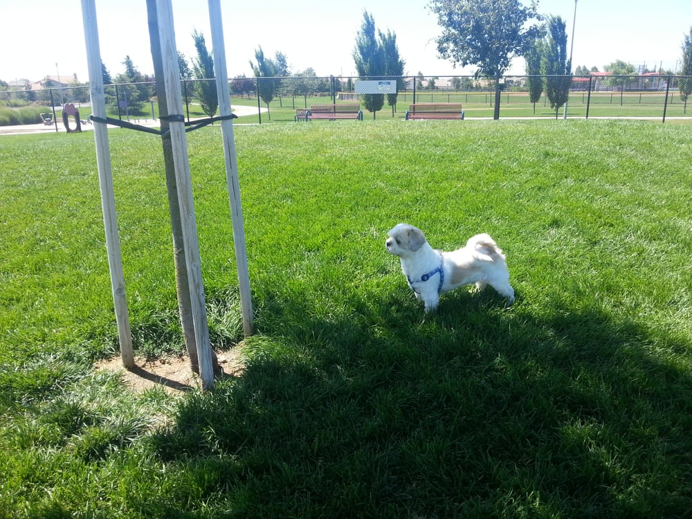 Morse Park 53 Photos Parks Elk Grove, CA Reviews Yelp