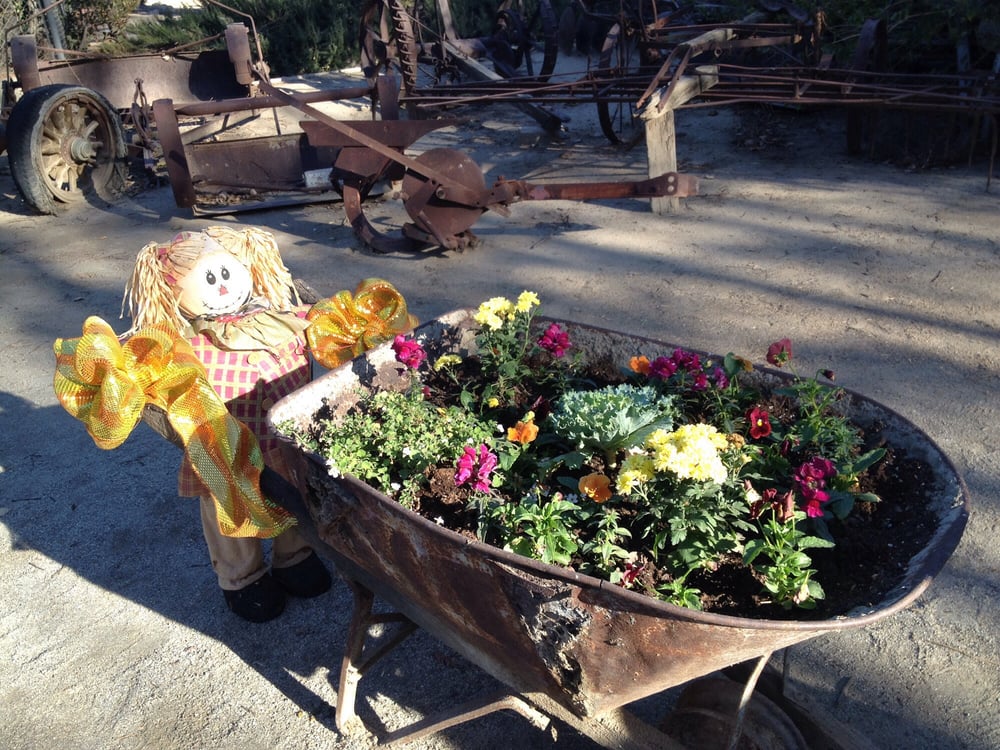 Banducci’s Family Pumpkin Patch 25 Photos Pumpkin Patches 10747