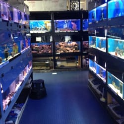 elmer s aquarium pet center pet stores monroeville elmer s aquarium pet center pet stores monroeville