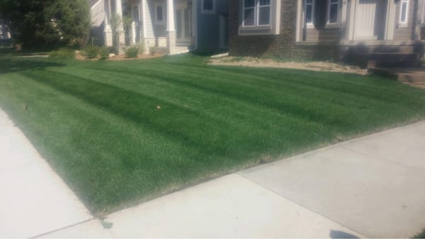 Flag photo as inappropriate?