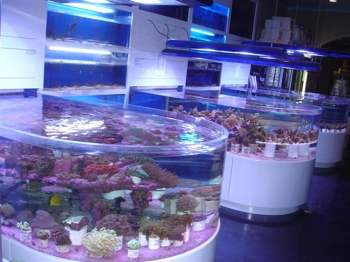 Ocean Treasures Aquarium CLOSED Aquariums Mission San Francisco