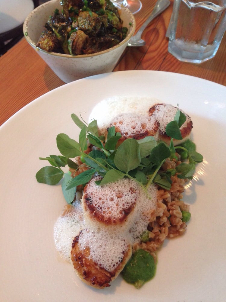 Diving Horse 26 Photos Seafood 2109 Dune Dr Avalon, NJ