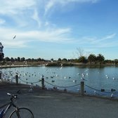 Palo Alto Duck Pond - You can bike here on the SF Bay Trail - Palo Alto, CA, United States