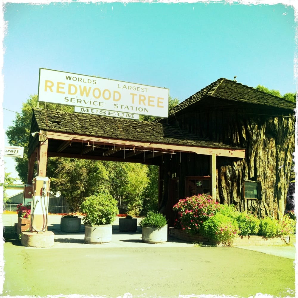 Redwood Tree Service Center Auto Detailing 859 N State St Ukiah
