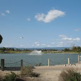 Palo Alto Duck Pond - Palo Alto Duck Pond - Palo Alto, CA, United States