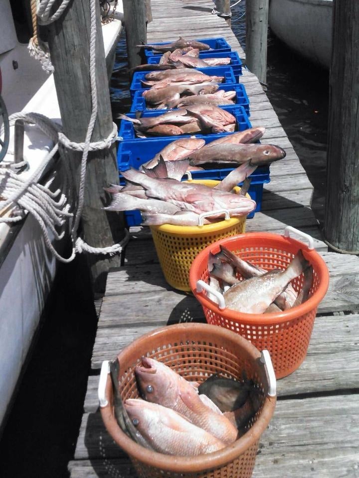 Island Seafood Market Seafood Markets Matlacha, FL Reviews