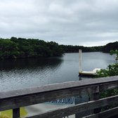 Blue Marlin Fish House Restaurant - 54 Photos & 65 Reviews - Seafood