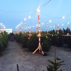 delancey street christmas tree lot christmas trees san delancey street christmas tree lot christmas trees san