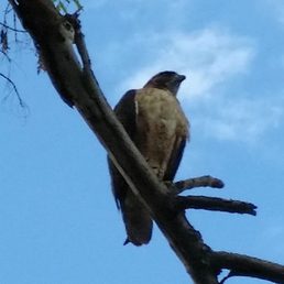 golfing close to los angeles quinta ca