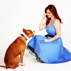 Dog Training Academy Of South Florida Dog Training Academy Of South Florida