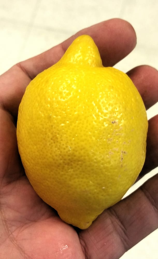 Fancy Fruit and Produce Farmers Market East Orlando Orlando, FL Reviews Photos Yelp