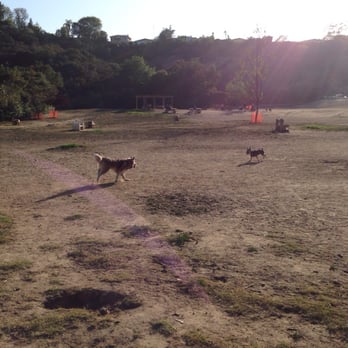 How To Get To Laurel Canyon Dog Park How To Get To Laurel Canyon Dog Park