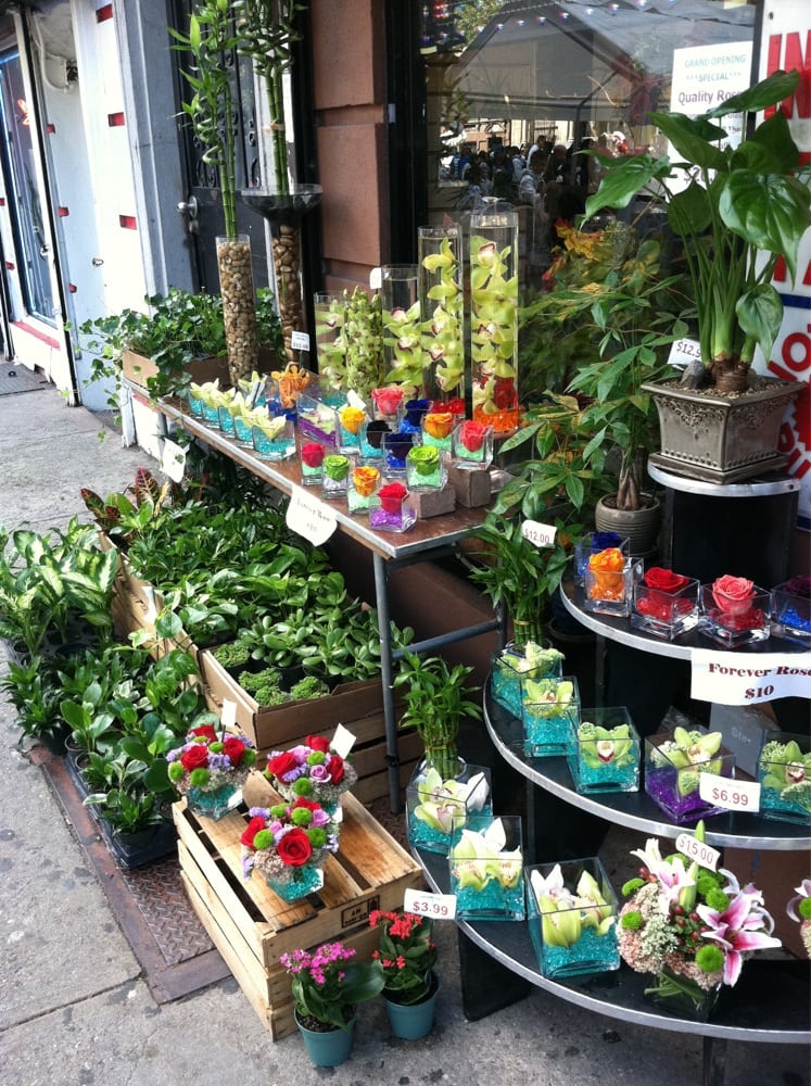 Harlem Florist Loft Florists New York, NY Yelp