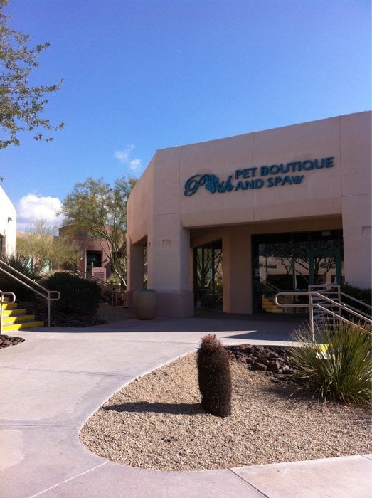 posh pet boutique and spaw closed pet groomers posh pet boutique and spaw closed pet groomers