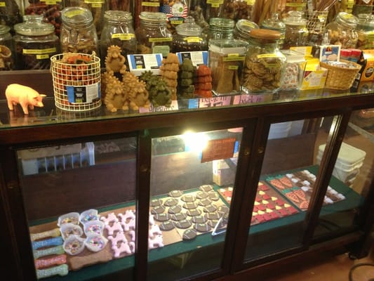 pioneer pet feed supply pet stores pioneer square pioneer pet feed supply pet stores pioneer square