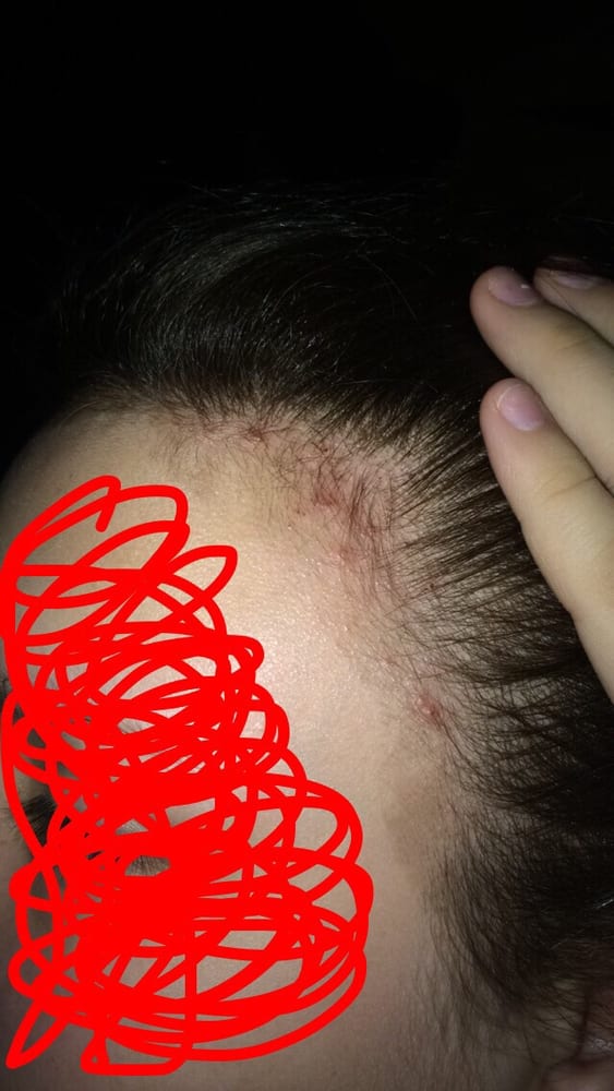 The Hair Palace Nail Salons 4214 Center St Deer Park, TX Reviews Photos Menu Yelp