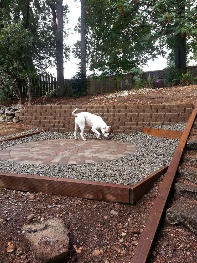 Pup checking out the new patio