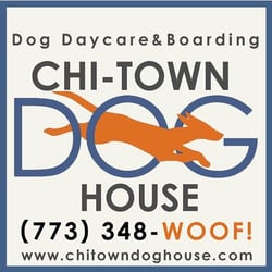 chi town dogs chi town house pet boarding pet sitting chicago il yelp chi town dogs chi town house pet boarding pet sitting chicago il yelp