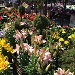 lowes oaks pa lowes oaks pa