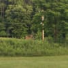 Blue Spruce County Park & Trails