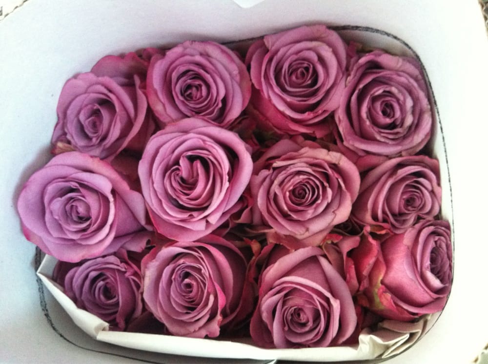 Oakland Flower Market 102 Photos Florists Old Oakland Oakland