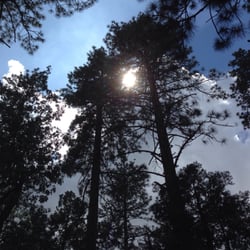 Idyllwild Nature Center Hwy Idyllwild Pine Cove Ca Idyllwild Nature Center Hwy Idyllwild Pine Cove Ca