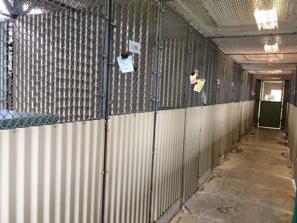 Animal Quarantine Public Services & Government Aiea, HI Yelp