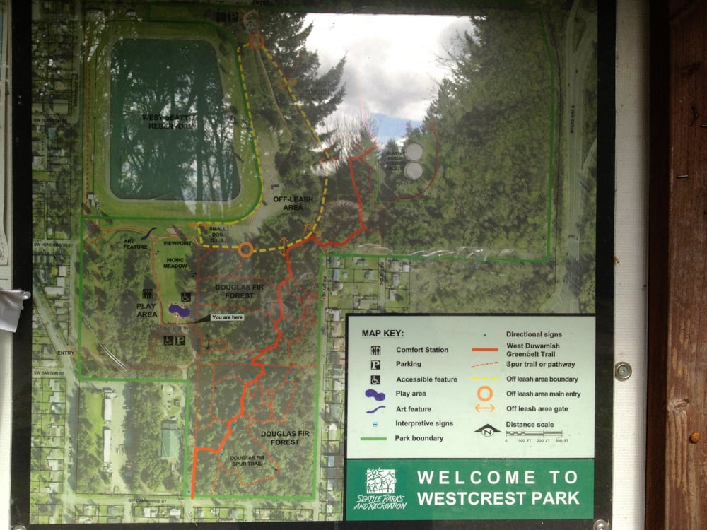 Westcrest Park Off Leash Area Dog Parks Seattle, WA Yelp