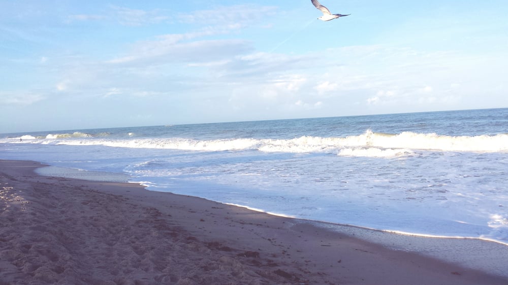 Jaycee Beach Beaches 41004198 Ocean Dr Vero Beach, FL Reviews