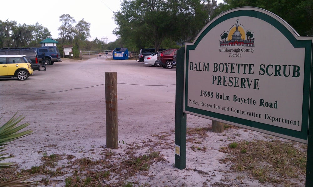 Balm Boyette Scrub Preserve Hiking Wimauma, FL Yelp