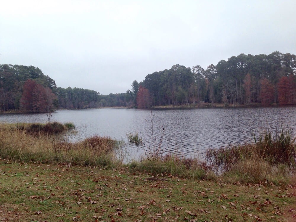 Ratcliff Recreation Area Lakes Ratcliff, TX Reviews Photos Yelp