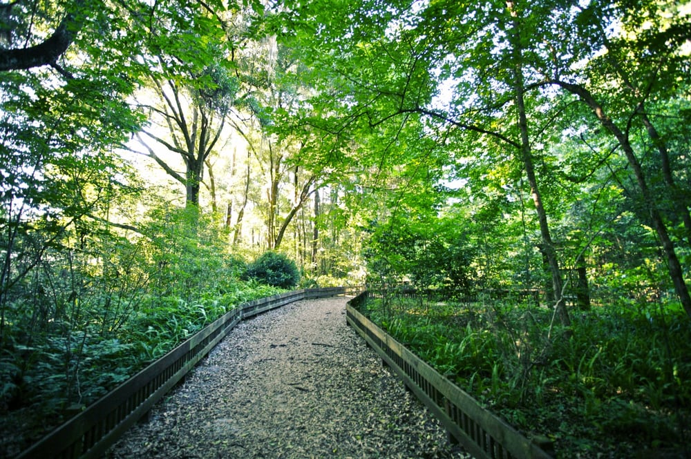 Alfred A Ring Park - Parks - Gainesville, FL - Yelp