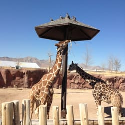 El Paso Zoo - Aquariums - El Paso, TX - Yelp