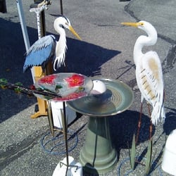 backyard birds pet stores sobro indianapolis in backyard birds pet stores sobro indianapolis in