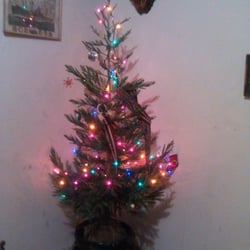 the original potted christmas tree company 193 rboles de the original potted christmas tree company 193 rboles de