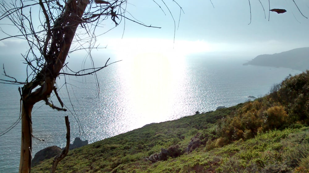 Slide Ranch 36 Photos Parks Muir Beach, CA Reviews Yelp