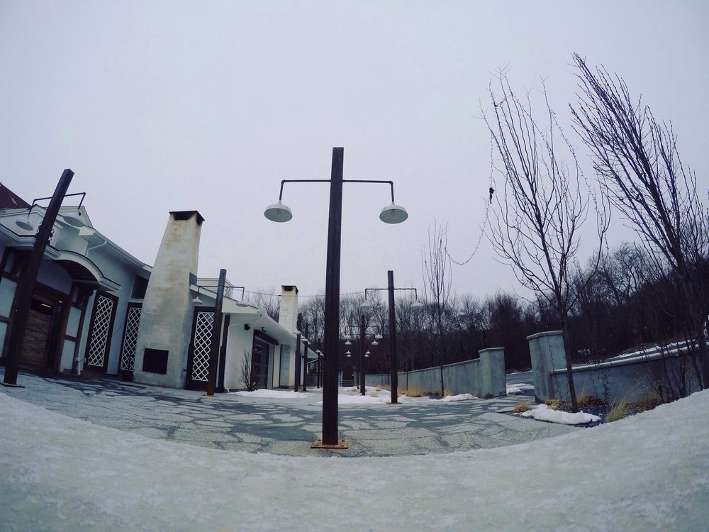 Red Rooster Pub 18 Photos & 61 Reviews Pubs 160 South Main St