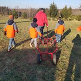 photo of middleburg christmas tree farm round hill va united states triplets - Middleburg Christmas Tree Farm photo of middleburg christmas tree farm round hill va united states triplets - Middleburg Christmas Tree Farm