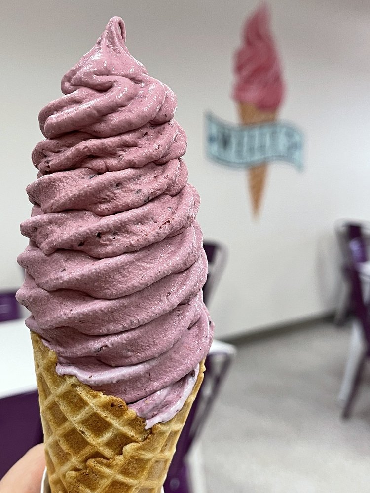 Welly’s Real Fruit Ice Cream