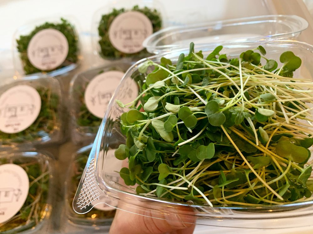 Valley Mill Microgreens