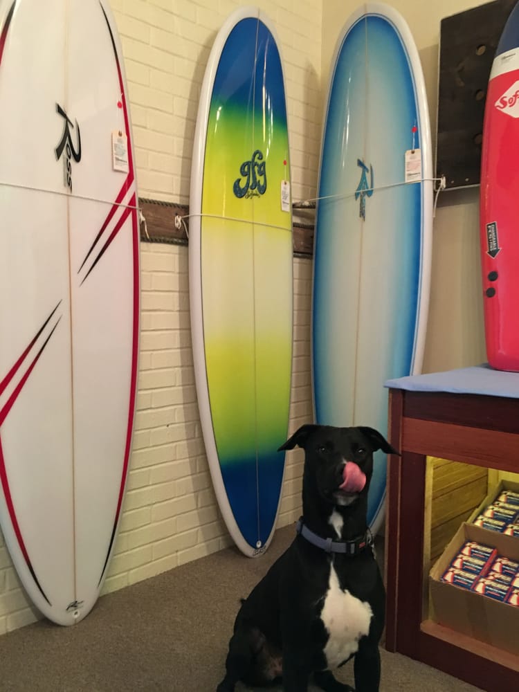 Banks Surf Supply 10 Photos Surf Shop 7128 S Virginia Dare Trl