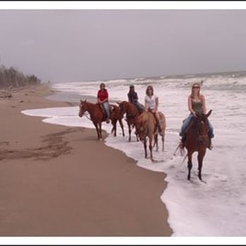 Ride The Beach On Horse Back Beaches 3500 S A1a Fort Pierce Fl Photo Of Ride The Beach On Horse Back Fort Pierce Fl United States