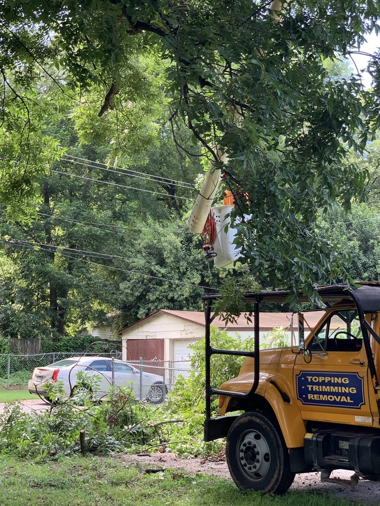 Preacherboy Tree Services