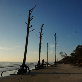 Jekyll Island State Park Phone Number Jekyll Island State Park Phone Number
