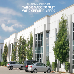 Transpacific Realty Advisors