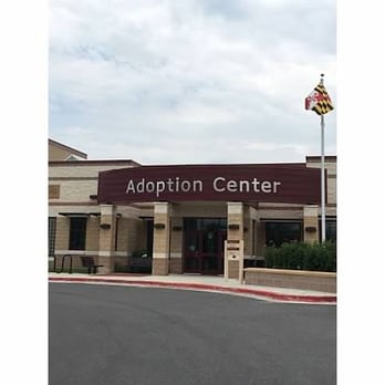 Adoption Center Dogs Montgomery Md Adoption Center Dogs Montgomery Md