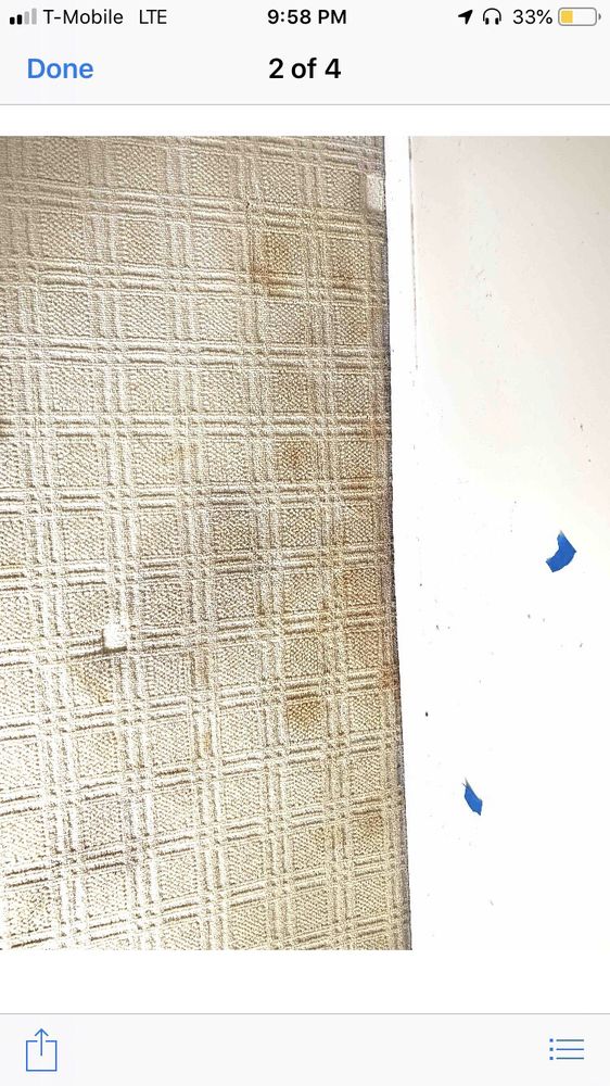 Usa Carpet Cleaning 40 Photos 235 Reviews Usa Carpet