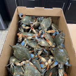 Bonney Sons Seafood And Produce 11 Reviews Markets Photo Of Bonney Sons Seafood And Produce Virginia Beach Va United States